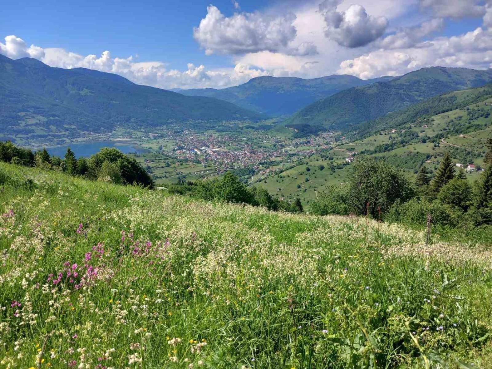 Viewpoint Kofiljaca Bed & Breakfast Plav Dış mekan fotoğraf